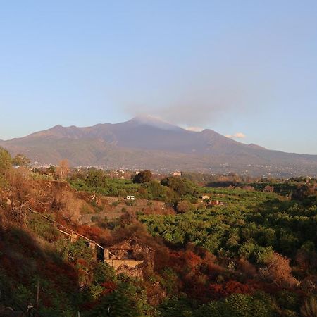 Il Pampaleone Glamping And Resort Acireale Luaran gambar